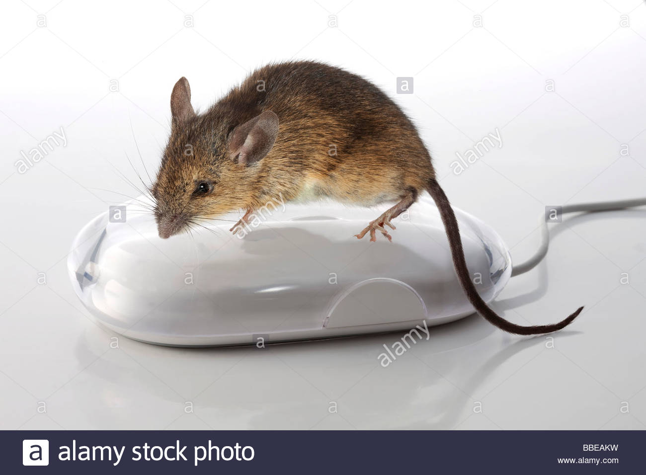 Zendesk Help Center home page